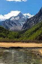 91麻豆app无限次数破解版-当91麻豆APP无限次数破解版遇到版权，在真实与虚幻间失衡的探索