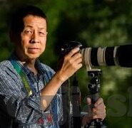 麻豆 欧洲av-麻豆与欧洲AV文化，一种不同视角的探讨