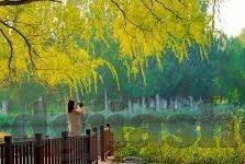 糖心app哪个好-糖心APP的多元特质与个人偏好选择
