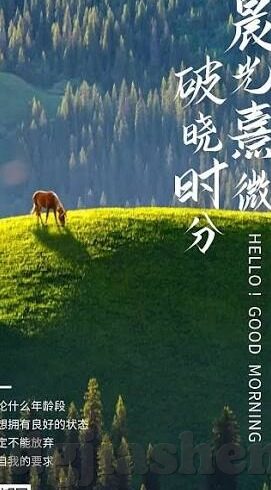 糖心vlog官网首页入口-糖心Vlog，记录生活，共享美好
