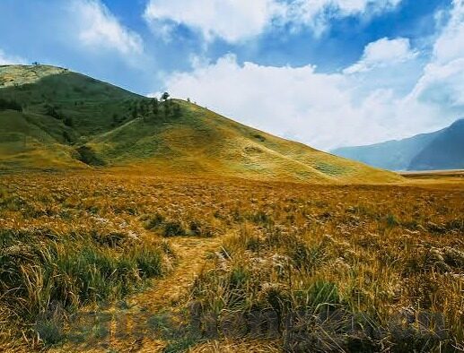 亚洲综合色一区二区三区-亚洲文化多样性的多彩画卷，一区、二区、三区的独特魅力
